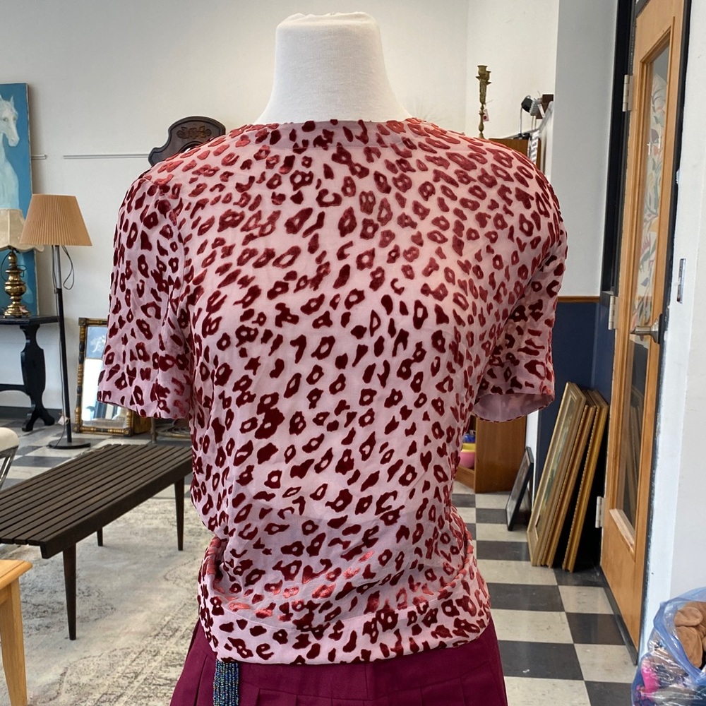 Rag and Bone sheer blouse